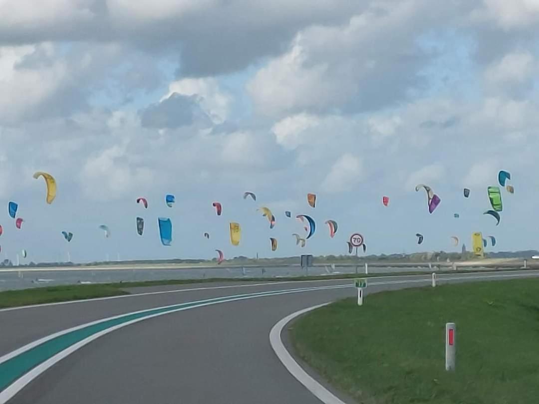 De Nieuwe Stal * Scherpenisse